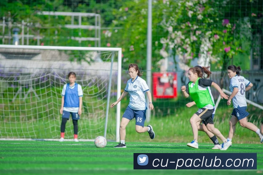 PA官方入口发展历程